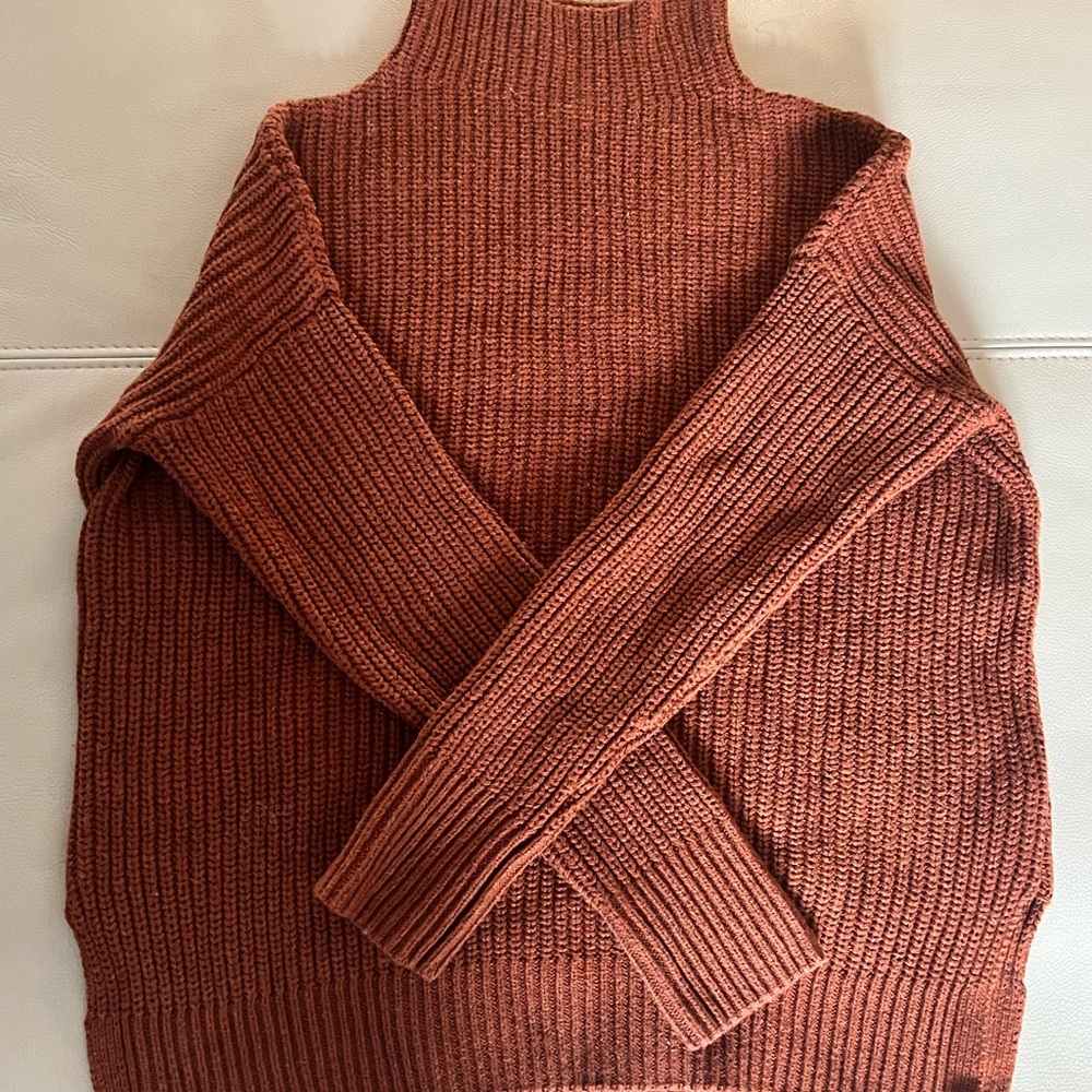 Max Studio Terracotta Turtleneck Sweater